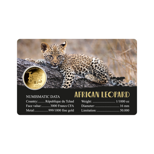 African Leopard Coin Card - Gold Gift