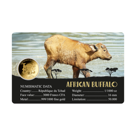 African Buffalo Coin Card - Gold Gift