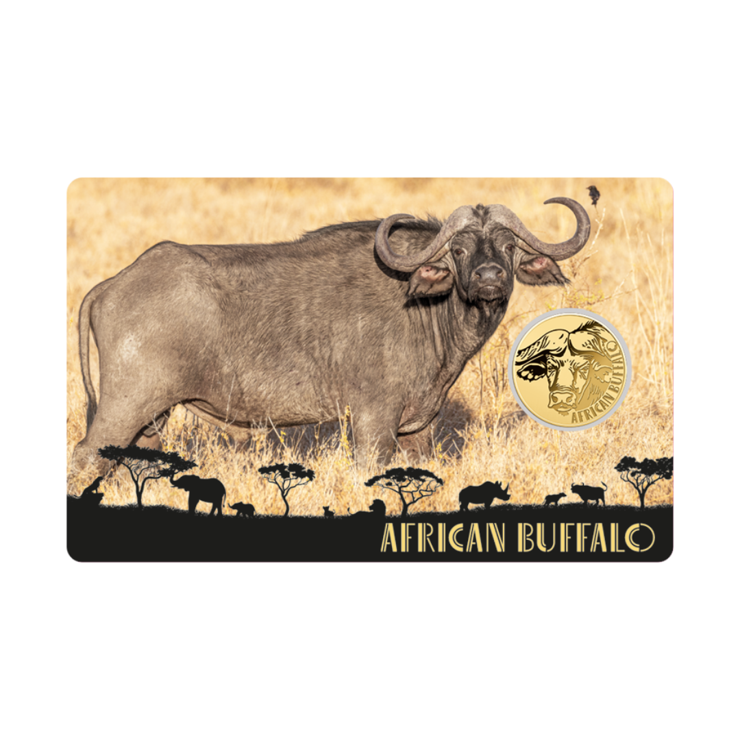 African Buffalo Coin Card - Gold Gift