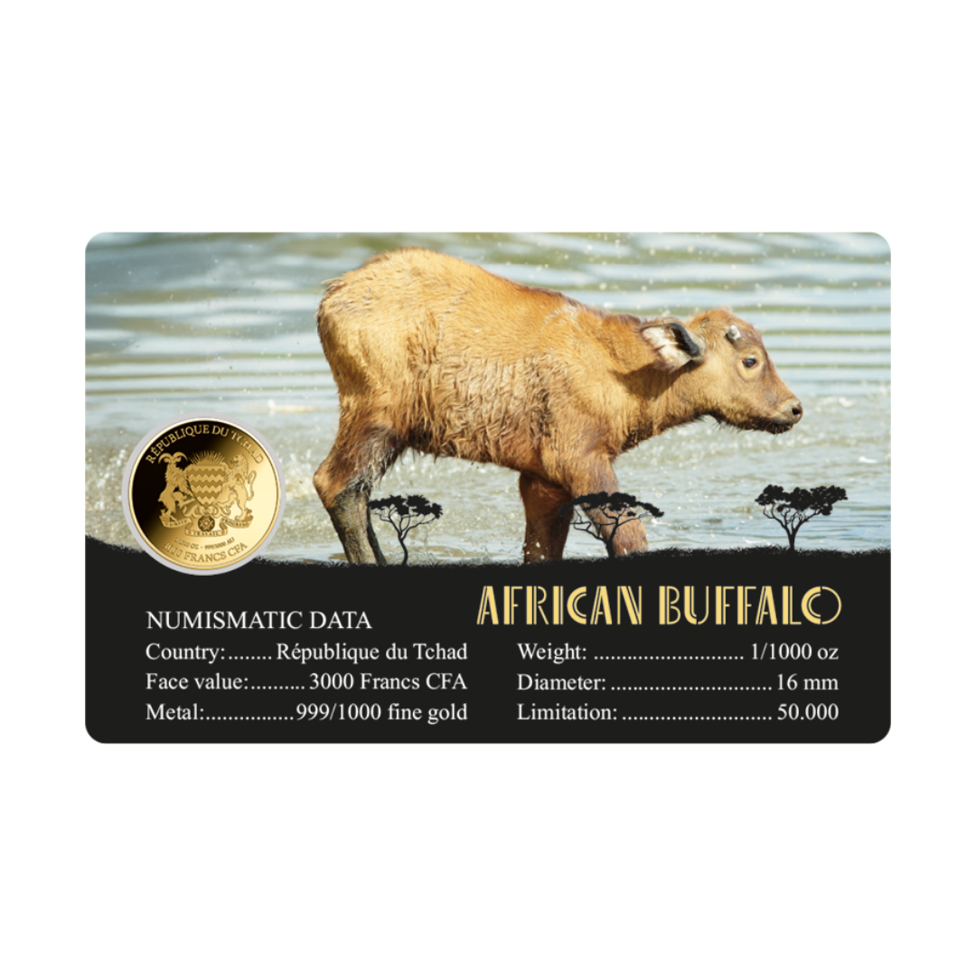 African Buffalo Coin Card - Gold Gift