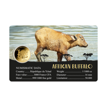 African Buffalo Coin Card - Gold Gift